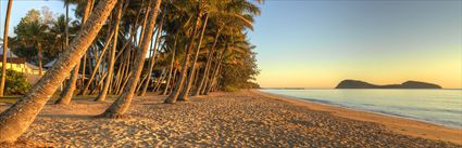 Palm Cove - QLD (PBH4 00 14933)